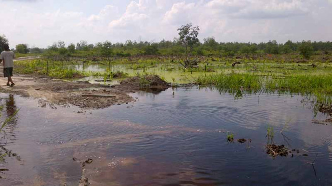 WKS Bantah Kanalnya Penyebab Banjir Sungaibaung