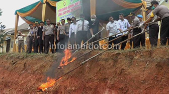 Daging dan Kulit Trenggiling Selundupan Dibakar