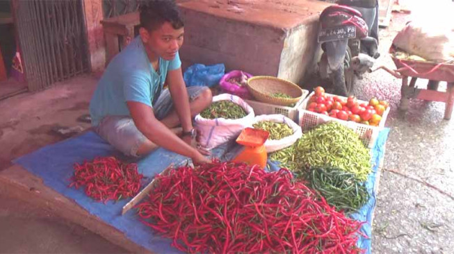 Ampun... Harga Cabai Tembus Rp 120 Ribu per Kg