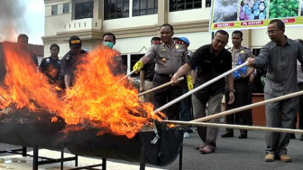 Polda Jambi Musnahkan 54 Kg Ganja asal Aceh