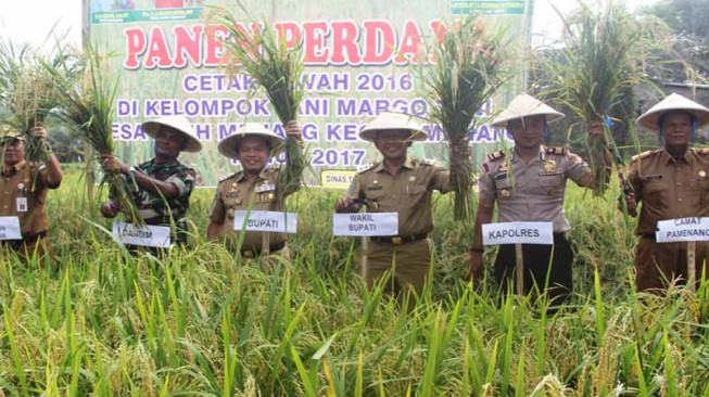 Merangin Dapat Bantuan 500 Hektar Cetak Sawah
