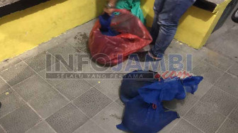 Polres Merangin Amankan Penjual Trenggiling