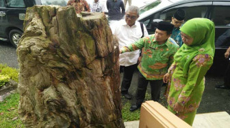 Mensos Kagumi Batu Sungkai Merangin