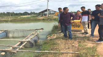 Sekali Panen Bisa Rp 180 Miliar. Mauuu ???...