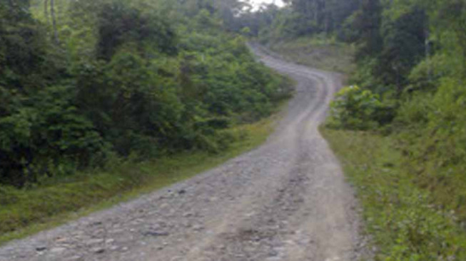 Jalan Pauh - Air Hitam Diusulkan Jadi Jalan Provinsi
