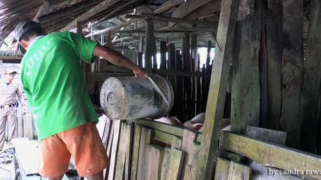 Bikin Resah Warga, Peternakan Babi Disegel