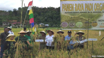 Adirozal Panen Raya Padi Organik, Hasilkan 8 Ton per Hektar