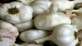 Harga Bawang Putih Mulai Merangkak Naik