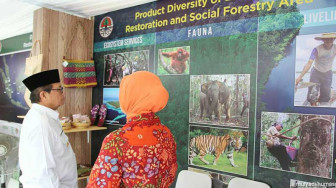 Pemprov Jambi Dukung Pertumbuhan Hijau