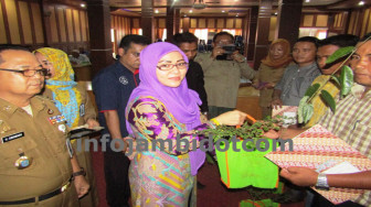 Kunker di Merangin, Hj Saniatul Bagi-Bagi Alat Pertanian