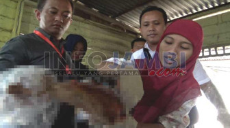 Tim Satgas Pangan Tangkap 1,9 Ton Daging Babi Beku Ilegal