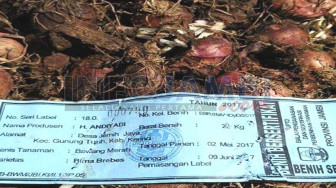 Petani Kayuaro Pertanyakan Proyek Bantuan Bibit Bawang