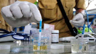 Awas !!! BNN Batanghari Incar 40 Kades