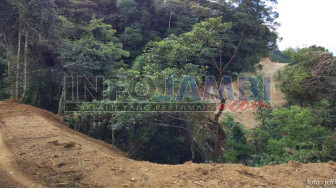 Wahhh.. Buka Jalan Baru, Pemkot Sungai Penuh Belah TNKS