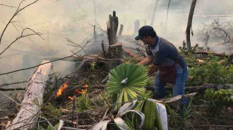 Bakar Lahan, Seorang Ibu Rumahtangga Diamankan