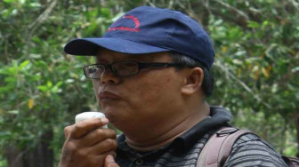 Hutan Rawa Gambut Menuju Proses Kemusnahan