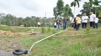 Gubernur Dorong Optimasi Lahan Untuk Pertanian dan Perikanan