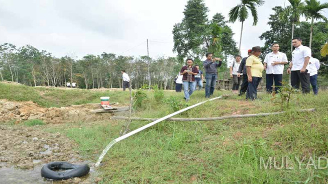 Gubernur Dorong Optimasi Lahan Untuk Pertanian dan Perikanan