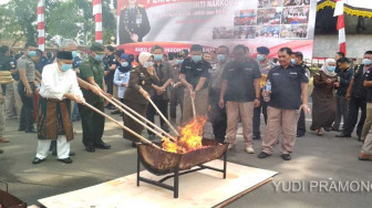 Polda Jambi Musnahkan Puluhan Kilo Narkoba