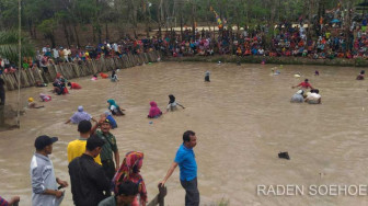 Ketika Ibu-Ibu Berlomba Menangkap Ikan Gabus Tanpa Alat