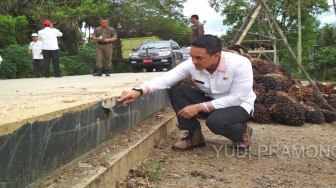 Zola Tinjau Jalan Provinsi dan Nasional