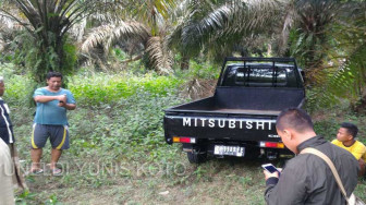 Mobil Curian Ditinggal di Kebun Sawit