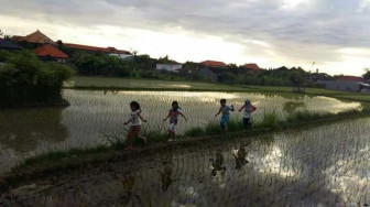 Tiga Desa Gagal Cetak Sawah