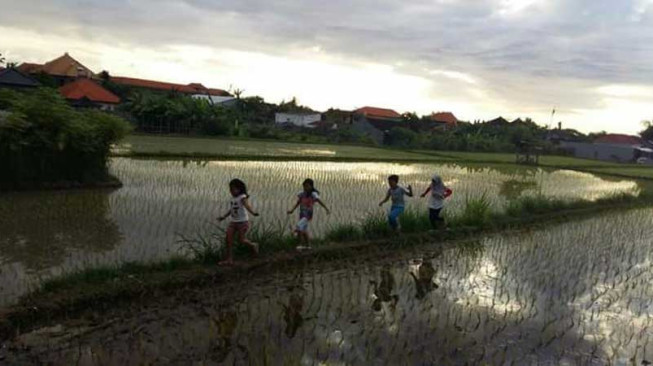 Tiga Desa Gagal Cetak Sawah