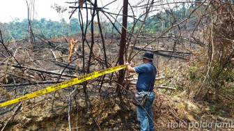 Bakar Lahan untuk Kebun Sawit, Warga Pelepat Diciduk Polisi