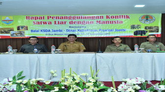 Soal Konfik Manusia dan Hewan Liar Dibahas Dalam Rapat BKSDA