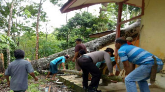 Ditimpa Pohon, SDN 86 Rusak