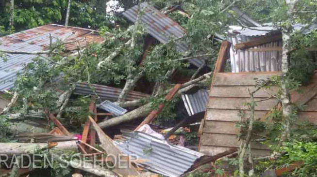 Rumah Ditimpa Pohon, Warga NESS Tewas