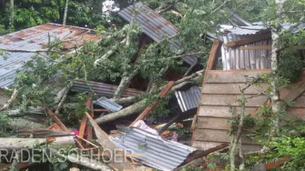 Potensi Cuaca Ekstrem di Jambi hingga Kamis, Waspada Pohon Tumbang