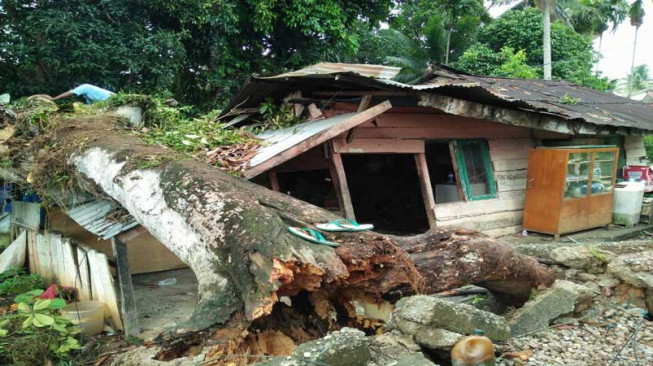 Satu Rumah Ambruk Tertimpa Pohon