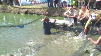 Pemprov Jambi Beri Bantuan 10 Ribu Benih Ikan