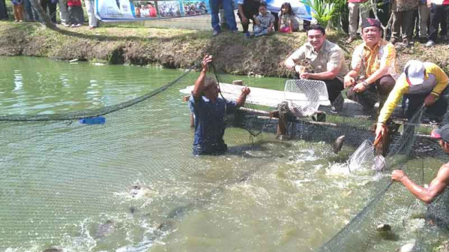 Pemprov Jambi Beri Bantuan 10 Ribu Benih Ikan