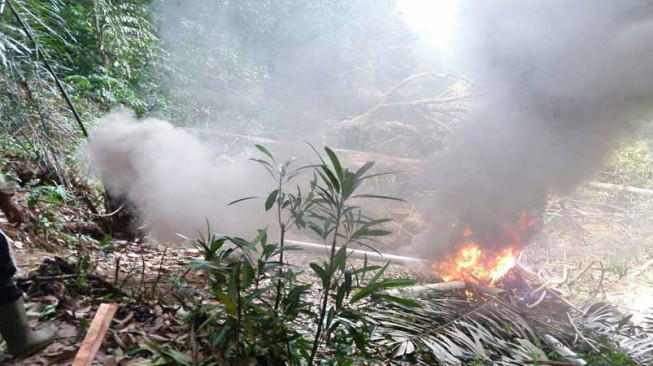 Polsek Pamenang Bakar Lima Dompeng