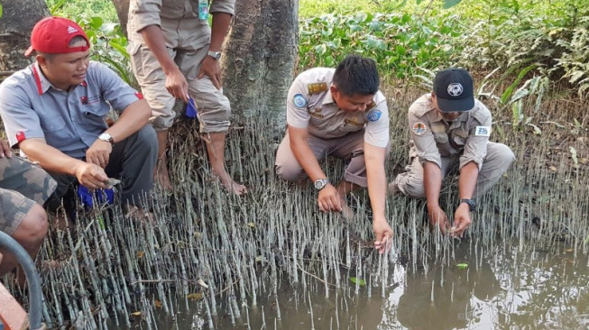 Anak Buaya Selundupan Dilepas