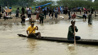 Bupati Panen Ikan di Lubuk Larangan Desa Lubuk Napal