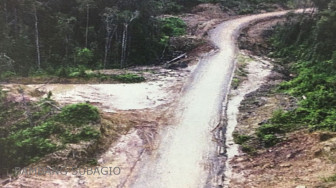 Pembangunan Jalan Paralel Perbatasan Kalbar 850 Km Terus Dilanjutkan