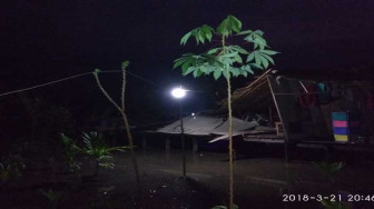 Angin Puting Beliung Hancurkan 2 Rumah Warga Di Desa Suak Labu