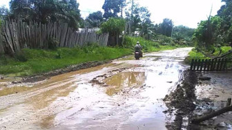 Jalan Padanglamo Rusak Parah, Warga VII Koto Ilir Mengeluh
