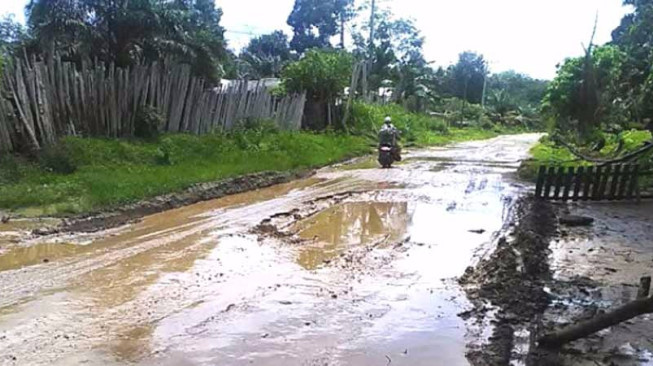 Jalan Padanglamo Rusak Parah, Warga VII Koto Ilir Mengeluh