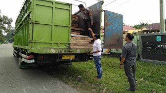 Polisi Amankan Puluhan Kubik Kayu Jabon