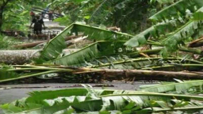 PLN Bungo Segera Perbaiki Tiang Rubuh di Pelepat Ilir