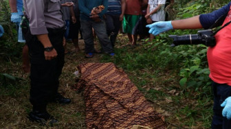 Pasran Gantung Diri di Pohon Karet