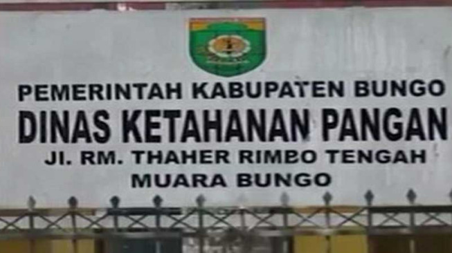 Bungo Mampu Produksi Beras Lokal