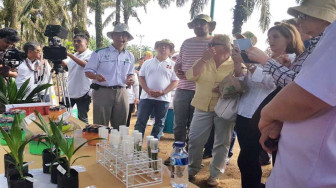 Duta Besar Uni Eropa dan Perwakilan Lihat Langsung Praktik Kelapa Sawit Berkelanjutan Asian Agri