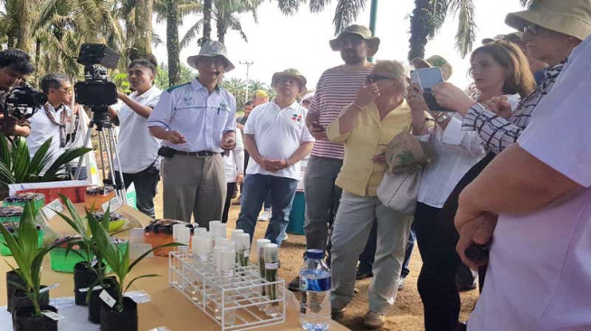 Duta Besar Uni Eropa dan Perwakilan Lihat Langsung Praktik Kelapa Sawit Berkelanjutan Asian Agri