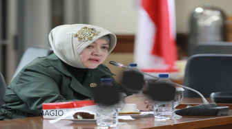 Senator Desak Pemerintah Sederhanakan Regulasi UU Desa